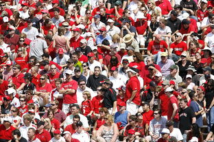 开云体育在线登入-体育焦点人物采访独家发布,焦点访谈体育